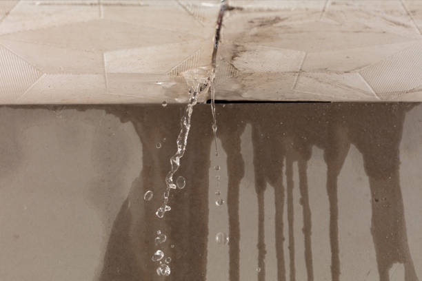 Professional Water Damage Repair technician working in Peytona, WV